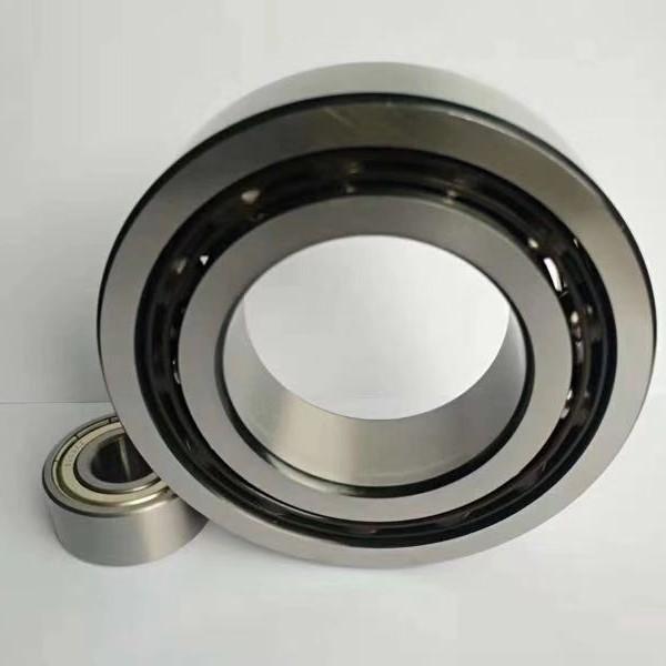 95 mm x 170 mm x 43 mm  SKF NU 2219 ECJ  Cylindrical Roller Bearings #3 image